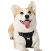 Youfirst No Pull Harness Breathable Harness,Adjustable Soft Padded Pet Reflective