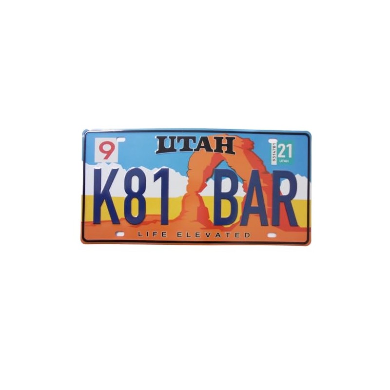OPO 10 - USA CAR LICENSE PLATE - metal replica: