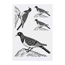4 x 'Dove on Rock' Temporary Tattoos - Water Resistant, Skin-Safe, Non-Toxic Transfers, Mixed Sizes (TO00080614)
