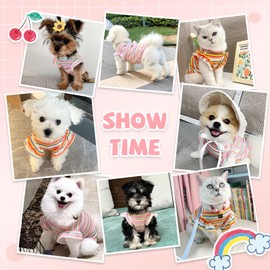 XGDMEIL 2 Pack Cute Striped Small Dog T Shirts Soft Cotton Girl Dog Clothes Breathable Pet Puppy Cats Vest Spring Summer Doggy Outfits（Pink+Orange,Large）