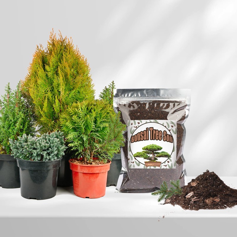 Doter Bonsai Soil Mix 2qt Ready to Use, Organic Bonsai