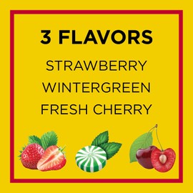 Carmex Daily Care Moisturizing Lip Balm Pack, Lip Balm with Sunscreen in Fresh Cherry, Strawberry and Wintergreen - 3 Count (Pack of 3)