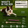 Flirt Pole for Dogs,Heavy Duty Interactive Chase & Rope Tug