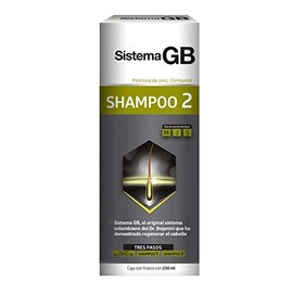 SISTEMA GB Shampoo 2 Hombre, Con Piritionina de Zinc y Climbazol que refuerzan la acción anticaída y cuidan el cuero cabelludo donde nace el pelo, Frasco con 230ml