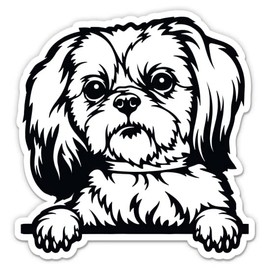 Shih Tzu Cute Peeking Dog Stickers - 2 Pack - Waterproof Vinyl for Car, Phone, Water Bottle, Laptop - Shih Tzu Decals (2-Pack)