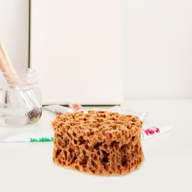 Versatile Sea Sponge for Art Painting, Reusable Sponge Brush for Wall Texture and Drywall Tools, 5.90 X 4.72 X 2.75 Inch, Light Brown