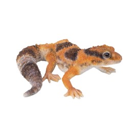 Uvia Leopard Lizard Modocio Range Brown Magnet 4.1 x 3.7 x 1.6 inches (10.5 x 9.5 x 4 cm) Doll Figurine Figurine Animal Garden Decoration Lizard H21170-2