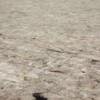 Mohawk Home 5' x 7' 1/4" Rug Pad 100% Felt