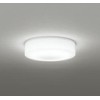 Oderik OG254873R LED Bathroom Light, High Color Rendering, Non-dimmable, Incandescent