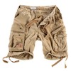 Surplus Raw Vintage Airborne Vintage Men's Cargo Shorts - beige