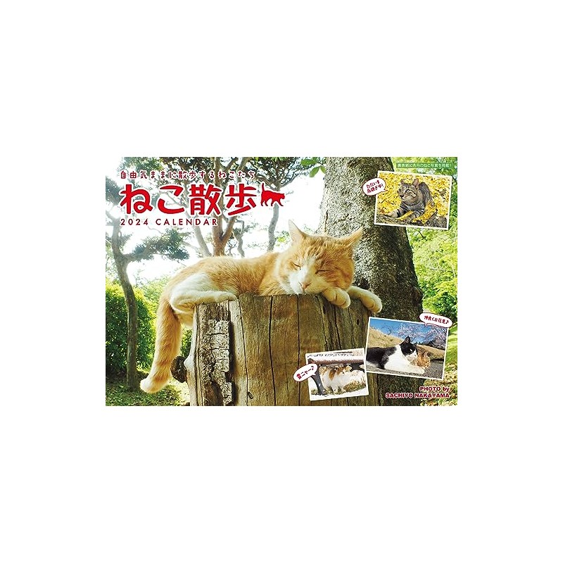 2024 中山祥代 ねこ散歩カレンダー 猫 （A4判 壁掛け 月めくり） ([カレンダー])