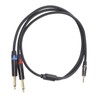 3.5mm 1/8 Inch Male to Dual 6.35mm 1/4 Inch TS
