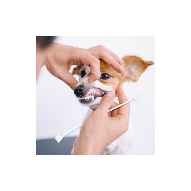 Fancy Pets Kit Dental con Pasta y Cepillo para Perro,