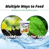 Jack's Classic 20-10-20 Citrus Feed Water-Soluble Fertilizer with Micronutrients to
