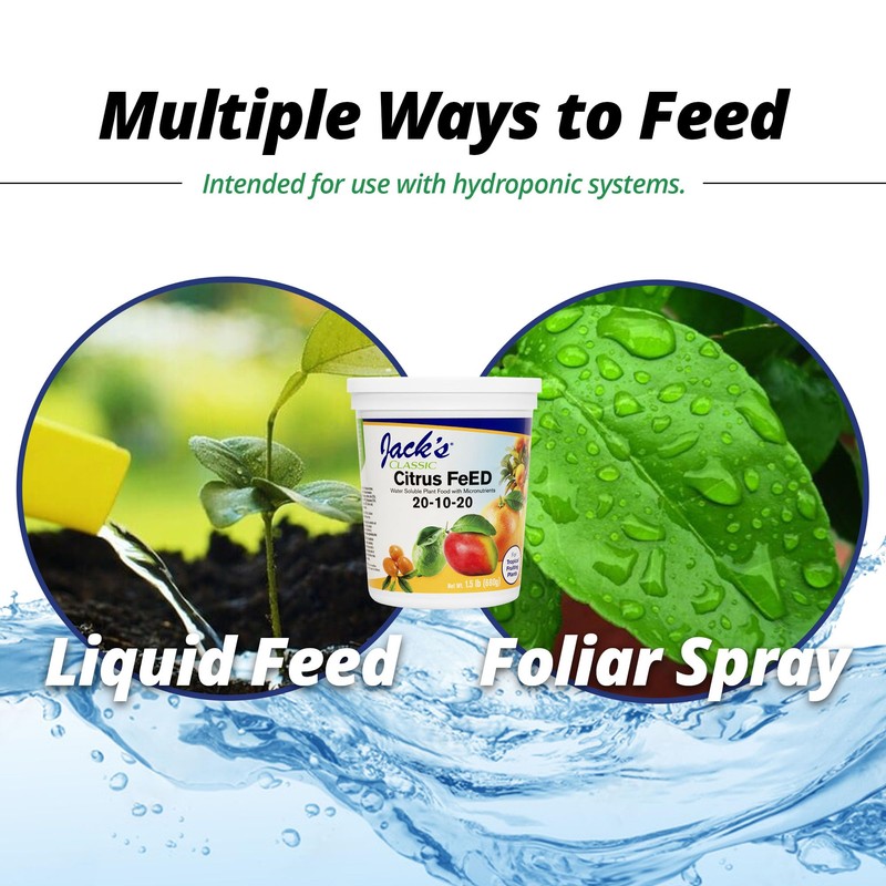 Jack's Classic 20-10-20 Citrus Feed Water-Soluble Fertilizer with Micronutrients to