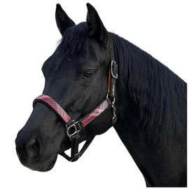Kensington Premium Breakaway Halter Size: L-Average Color: 165 -Black w/Merlot
