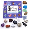 DANCING BEAR -15 Pc Rock & Mineral Collection with Collector