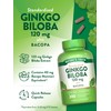 Ginkgo Biloba 120mg | Plus Bacopa | 200 Quick Release