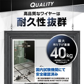 Neshexst Picture Rail Hook and Wire Mounting System, Wire Rope Sling (Featured in the Dopa DiY Magazine), Set of 10 Wires x 19.7 inches (0.5 m), 10 Hooks Included