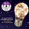 Norb Star String Lights - Each Bulb Contains Dozens of