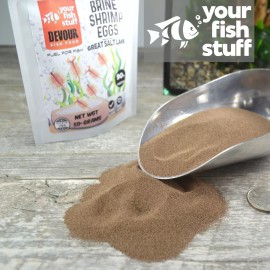 YFS Brine Shrimp Eggs (Artemia Cysts) 25 grams of 90% Hatch Rate Fish Food