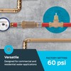 Cash Acme EB45 Pressure Regulating Valve, Double Union, 1 Inch