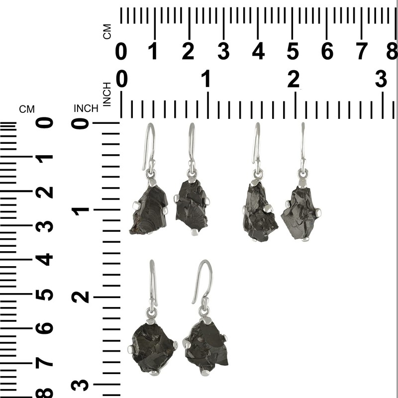 Starborn Rohstein Elite Shungite Earrings in 925 Sterling Silver, Gemstone