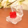 Birthday Anniversary Gift for Mother's Day Women Red Rose (Mini)