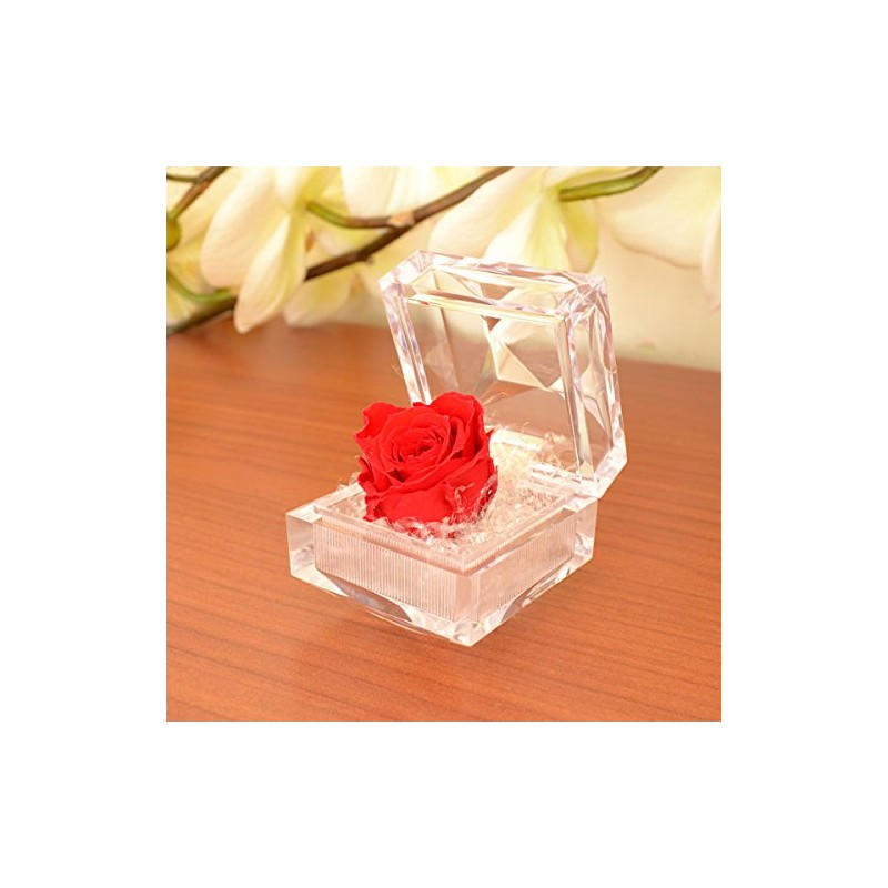 Birthday Anniversary Gift for Mother's Day Women Red Rose (Mini)
