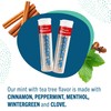 Preserve Toothpicks Cinnamint Refreshing Natural Cinnamon & Mint Flavored Toothpicks