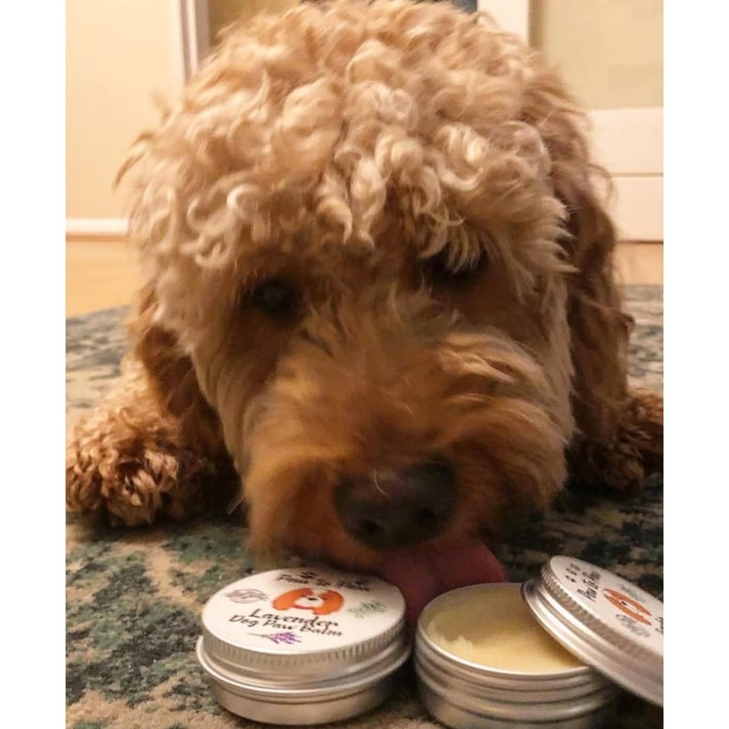 Paw to Paw Dog Paw Butter (30ml) Natural Lick Safe