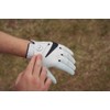 Callaway Golf Syntech Golf Glove 2025 - Left Hand for