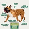 Azestfor Anti-Inflammatory Green Lipped Mussel for Dogs Powder