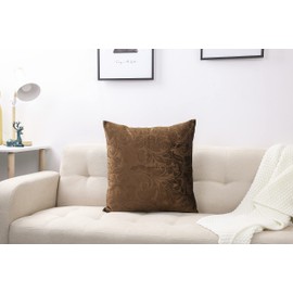TangDepot Heavy Velvet Embossing Throw Pillow Cover, Classis Floral Anaglyph Velvet Fabric, Decorative Pillow Cover, Indoor/Outdoor Pillows Shell, Cushion Cover - (12" x 12", C21 Brown)