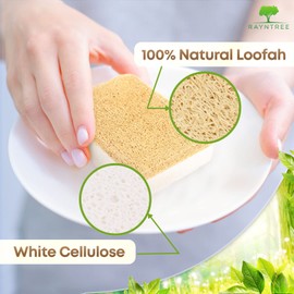 RAYNTREE Esponjas de cocina ecológicas para platos (paquete de 6), esponjas biodegradables para lavar platos, esponja natural y almohadillas antiarañazos, hechas de celulosa y lufa