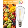 Abeja 25 Pack ST38 LED Replacement Bulbs, E12 0.6W Shatterproof