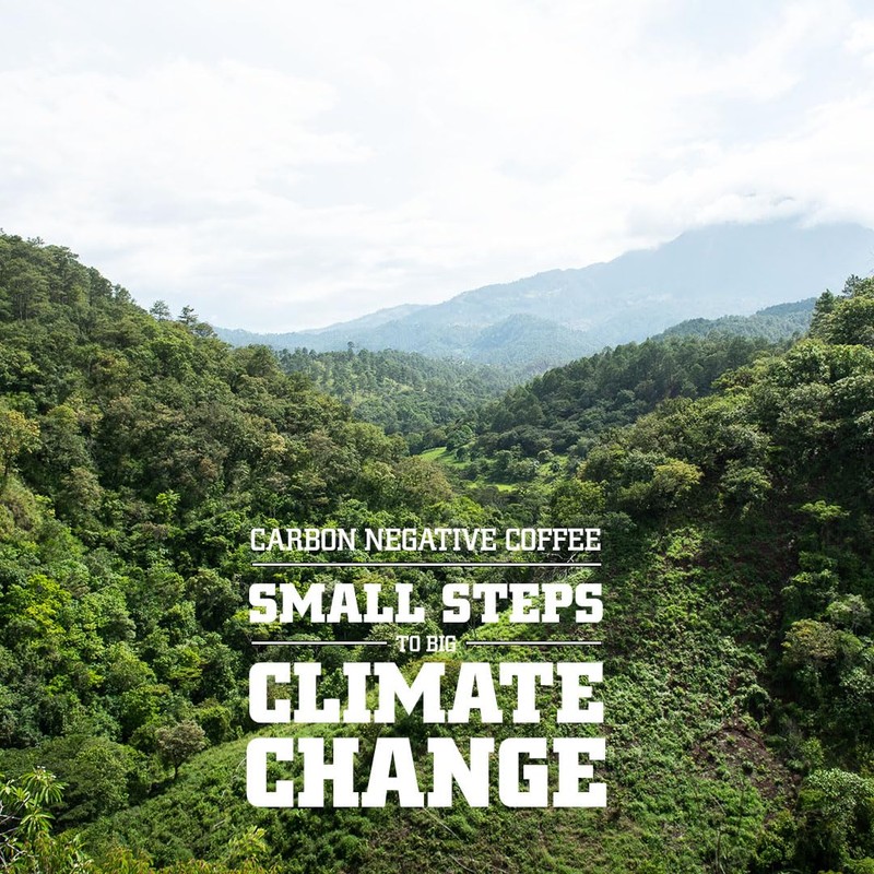 Tiny Footprint Coffee - Fair Trade Organic Peru APU Medium