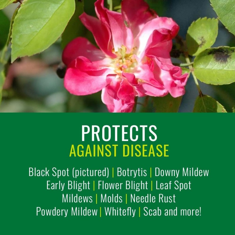 NATRIA Neem Oil Spray for Plants, Concentrate, 24 oz