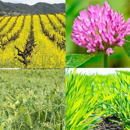 Spring Mix Cover Crop Seeds – 4 oz (~2,400 Seeds) – Non-GMO, Annual, No-Till, Forage-Friendly – Barley, Field Peas, Red Clover, Mustard – Soil Health, Weed Suppression, Water Retention – USA Grown