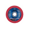 Pferd Flap Disc with 125 mm Diameter - Grain /