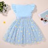 Bkixhv Toddler Baby Girls Tutu Tulle Dress Ruffled Sleeve Print