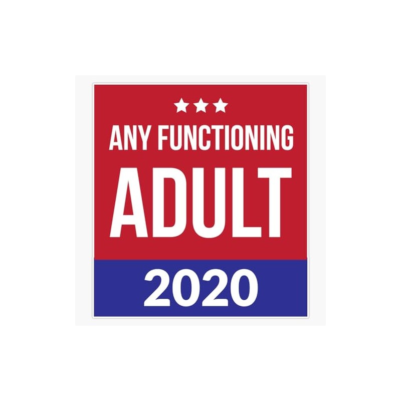 Any Functioning Adult - 2020 Us Election Sticker Bumper Sticker