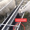 염소 먹이통 2M 동물 농장 축산 소먹이 가축 야외 송아지