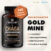 SOLVE Labs ● Premium Siberian Chaga Mushroom Capsules ● 10%