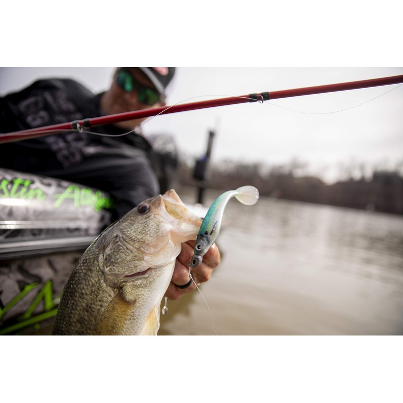 Berkley PowerBait Hollow Belly Fishing Soft Bait , HD Rainbow