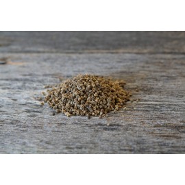 Hale Habitat & Seed Sugar Beet Food Plot Seed, 5 lbs