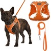 AMTOR Small Dog Harness with Leash Set, No Escape Easy