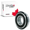 MAPLE ACE 6203-2RSNR Ball Bearing w/Snap Ring 17x40x12mm 6203 2RSNR