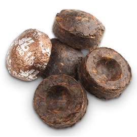 Jinglong Tea Factory - Puerh Tea Mini Tea Cakes (50 Pcs) Ripe Mini Tuocha (8.8 Ounce)