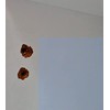 BSM Marketing Kitchen Cupboard Door Hinge Repair Kit Includes Plates